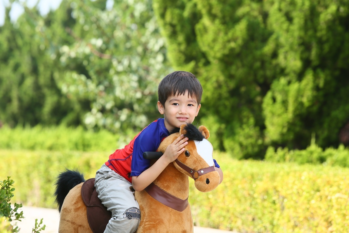 Electric horse deals for toddlers