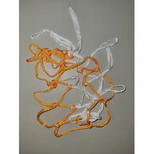 Basketball Net